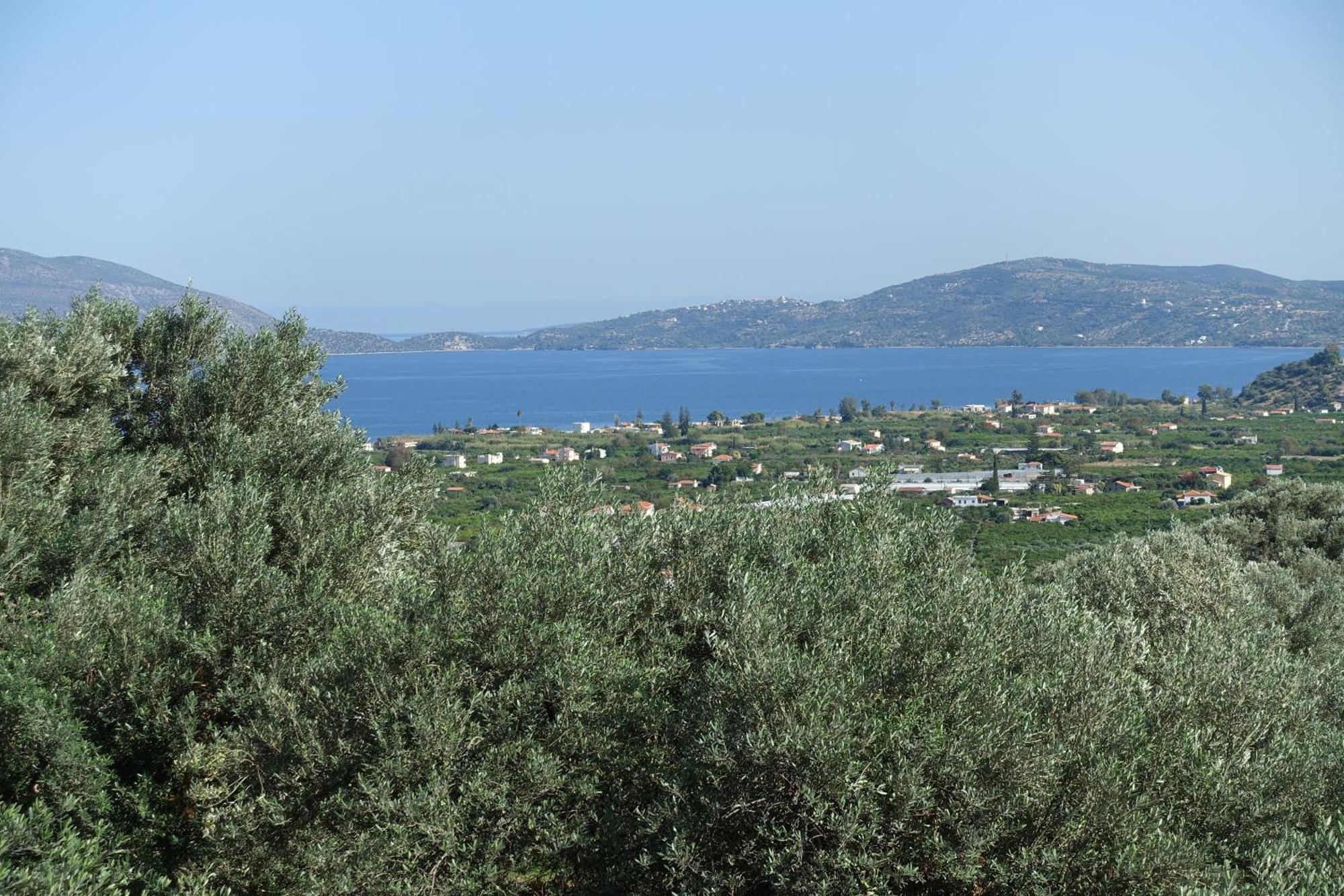 Studio In Villa In Kalloni Direkt Am Meer 외부 사진